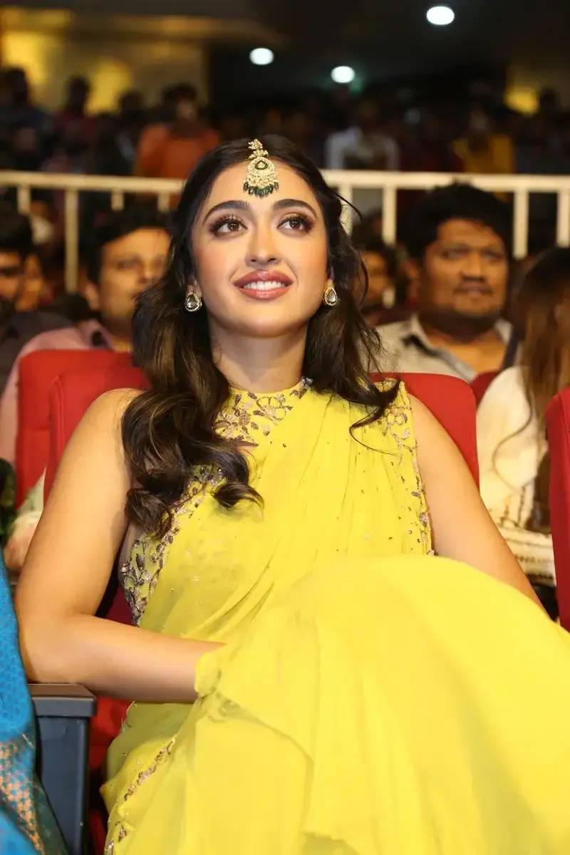 Actress Gayatri Bhardwaj Yellow Saree Tiger Nageswara Rao Movie